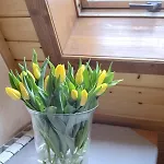 Bartus Baliczek 3* Bukowina Tatrzańska