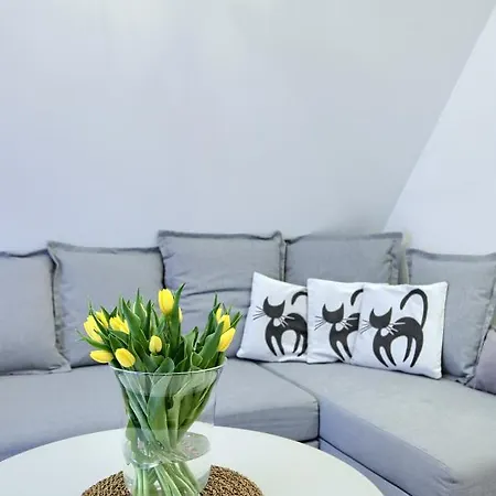 B&B Bartus Baliczek 부코비나 타트잔스카