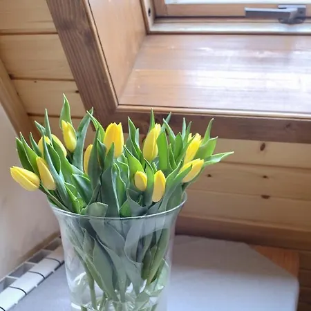 Bartus Baliczek 3* Bukowina Tatrzańska