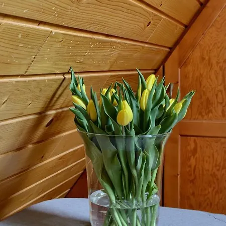 Bartus Baliczek Bukowina Tatrzańska