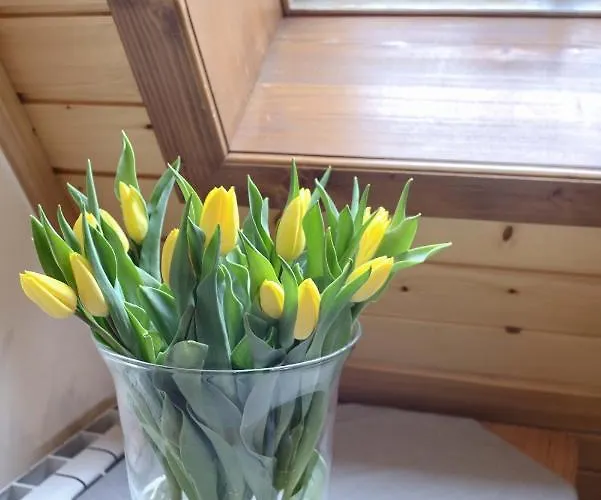 Bartus Baliczek 3* Bukowina Tatrzańska