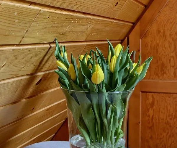 Bartus Baliczek Bukowina Tatrzańska